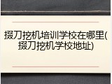 掇刀挖机培训学校在哪里(掇刀挖机学校地址)