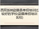 西双版纳勐腊县单招培训比较好的学校(勐腊单招培训名校)