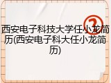 西安电子科技大学任小龙简历(西安电子科大任小龙简历)