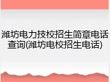 潍坊电力技校招生简章电话查询(潍坊电校招生电话)