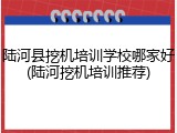 陆河县挖机培训学校哪家好(陆河挖机培训推荐)