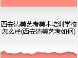 西安清美艺考美术培训学校怎么样(西安清美艺考如何)