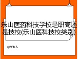乐山医药科技学校是职高还是技校(乐山医科技校类别)