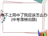 考不上高中了我应该怎么办(中考落榜出路)