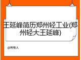 王延峰简历郑州轻工业(郑州轻大王延峰)