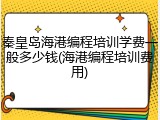 秦皇岛海港编程培训学费一般多少钱(海港编程培训费用)