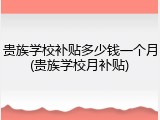 贵族学校补贴多少钱一个月(贵族学校月补贴)