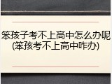 笨孩子考不上高中怎么办呢(笨孩考不上高中咋办)
