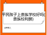 平民孩子上贵族学校好吗(贵族校利弊)