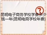昆明电子商务学校学费多少钱一年(昆明电商学校年费)