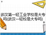 武汉第一轻工业学校是大专吗(武汉一轻校是大专吗)