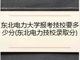 东北电力大学报考技校要多少分(东北电力技校录取分)