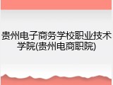 贵州电子商务学校职业技术学院(贵州电商职院)