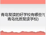 青岛复读的好学校有哪些?(青岛优质复读学校)