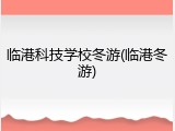 临港科技学校冬游(临港冬游)