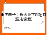 重庆电子工程职业学院谢鑫(重电谢鑫)