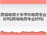 跨境电商大专学校电商专业好吗(跨境电商专业好吗)