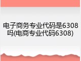 电子商务专业代码是6308吗(电商专业代码6308)
