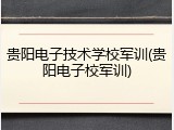 贵阳电子技术学校军训(贵阳电子校军训)