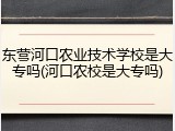 东营河口农业技术学校是大专吗(河口农校是大专吗)