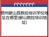 梧州蒙山县数控培训学校地址在哪里(蒙山数控培训地址)