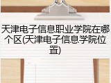 天津电子信息职业学院在哪个区(天津电子信息学院位置)