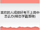 喜欢的人成绩好考不上高中怎么办(暗恋学霸落榜)
