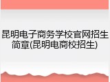 昆明电子商务学校官网招生简章(昆明电商校招生)