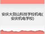 安庆大别山科技学校机电(安庆机电学校)