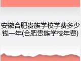 安徽合肥贵族学校学费多少钱一年(合肥贵族学校年费)