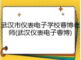 武汉市仪表电子学校曹博老师(武汉仪表电子曹博)