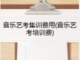 音乐艺考集训费用(音乐艺考培训费)