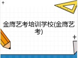 金鹰艺考培训学校(金鹰艺考)
