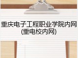重庆电子工程职业学院内网(重电校内网)