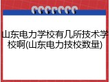 山东电力学校有几所技术学校啊(山东电力技校数量)
