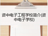 资中电子工程学校简介(资中电子学校)