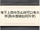考不上高中怎么样可以考大学(高中落榜如何升学)