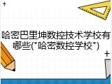 哈密巴里坤数控技术学校有哪些("哈密数控学校")