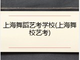 上海舞蹈艺考学校(上海舞校艺考)