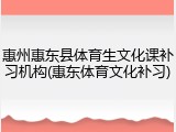 惠州惠东县体育生文化课补习机构(惠东体育文化补习)