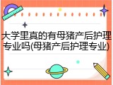 大学里真的有母猪产后护理专业吗(母猪产后护理专业)