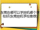 东莞在哪可以学挖机哪个学校好(东莞挖机学校推荐)