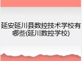 延安延川县数控技术学校有哪些(延川数控学校)