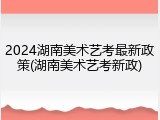 2024湖南美术艺考最新政策(湖南美术艺考新政)