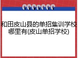 和田皮山县的单招集训学校哪里有(皮山单招学校)