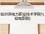 哈尔滨电力职业技术学院1(哈电职院)