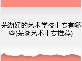 芜湖好的艺术学校中专有哪些(芜湖艺术中专推荐)