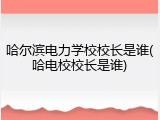 哈尔滨电力学校校长是谁(哈电校校长是谁)