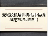 鼎城挖机培训机构排名(鼎城挖机培训排行)