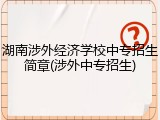 湖南涉外经济学校中专招生简章(涉外中专招生)